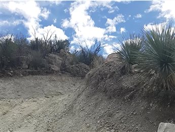 Bulk Sample Pit 4 Lower Mineralised Zone