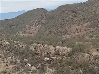 Surface exposure of Ventana Lower Mineralised Zone